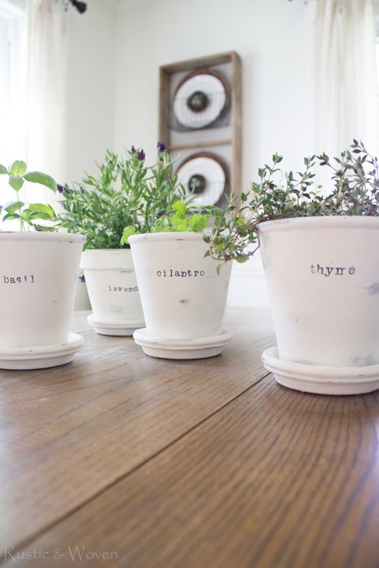 Indoor Herb Garden Inspiration - Greens Moving Solutions 4