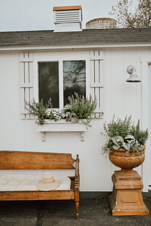 Spring Window Flower Box Inspiration 3 - #MoveWithGreens