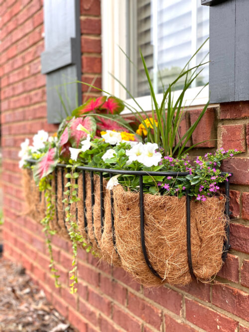 Spring Window Flower Box Inspiration 4 - #MoveWithGreens